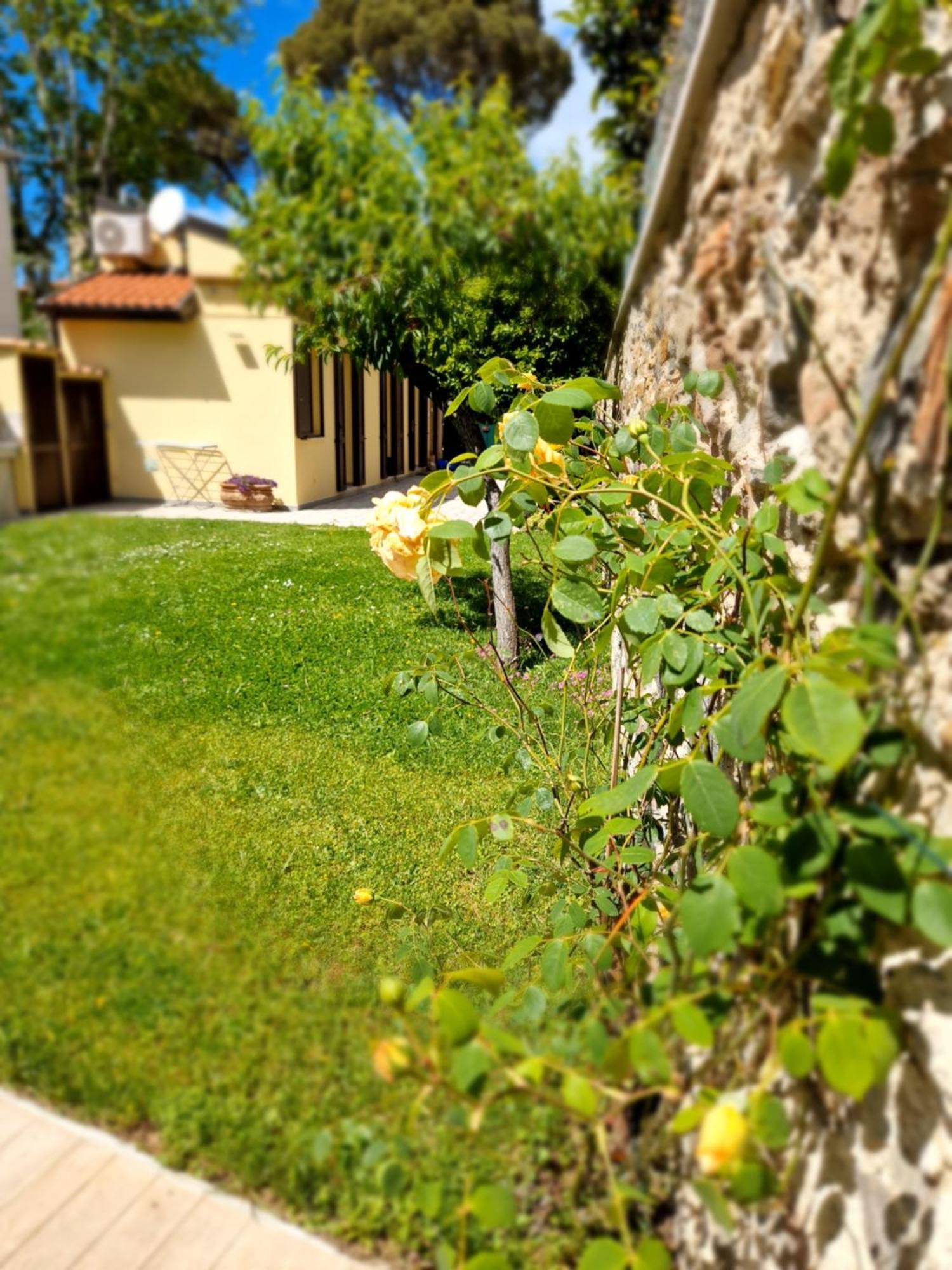 Serra Di Mare Casa Con Giardino 利沃诺 外观 照片